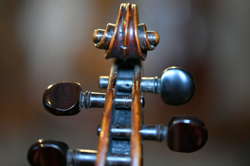 DSC 0017 1 (1).png