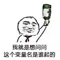 程序员反应图:我就是想问问这个变量名谁起的