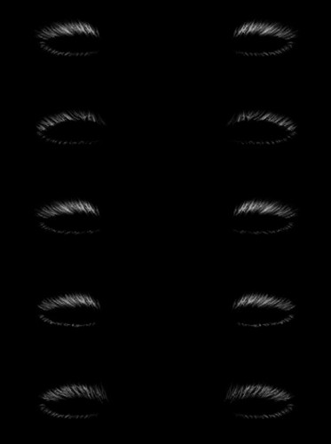 december lashes.1