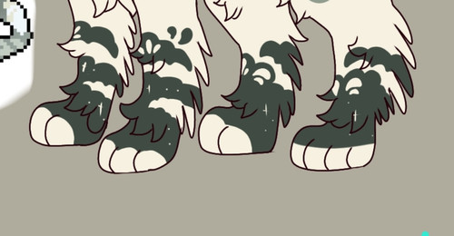 1000041482.1
