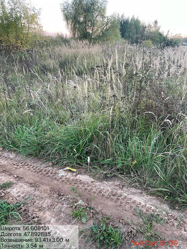 6ab31cd6900c4.jpg