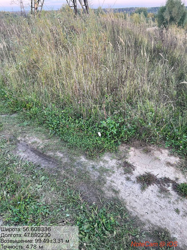6ab31c91033bd.jpg