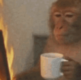monkey working.gif
