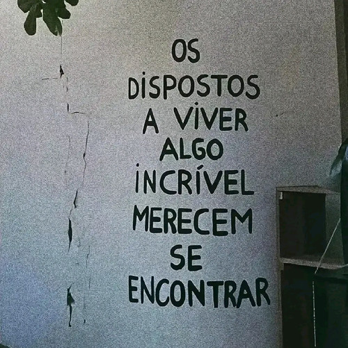 1785387676769.jpg