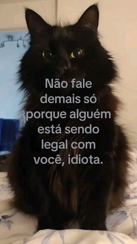 1785454702701.jpg