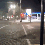 15398.gif