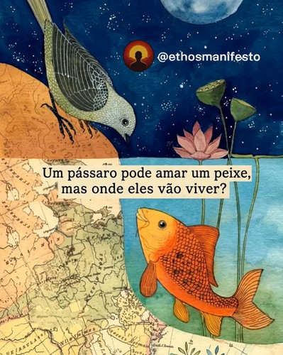 1786133162349.jpg