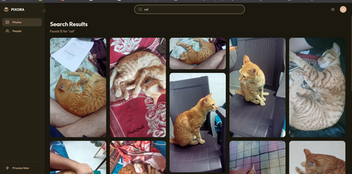 Screenshot from 2026 09 22 01 48 06.png