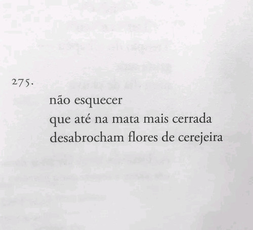 1785264379988.jpg