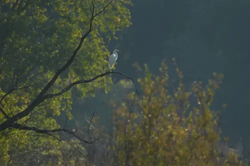 99f04121e5a8.webp