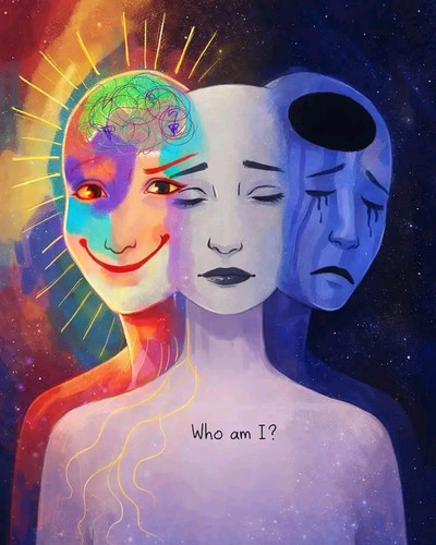 1785385692067.jpg