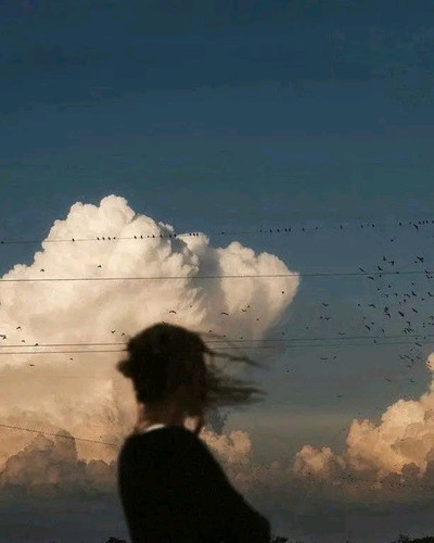 1785385892053.jpg
