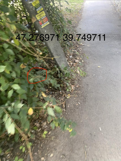 6ab174e000adf.jpg