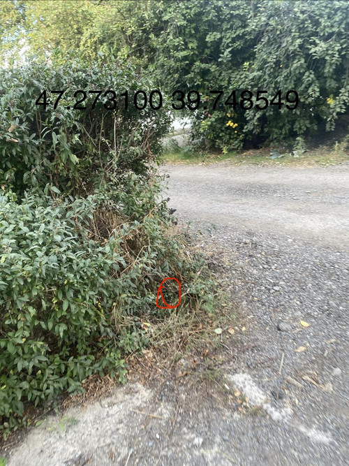 6ab174bb85463.jpg