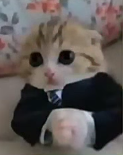 f7eb1f549bbe.png