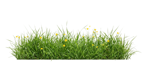 d7915e4ffcd8.png