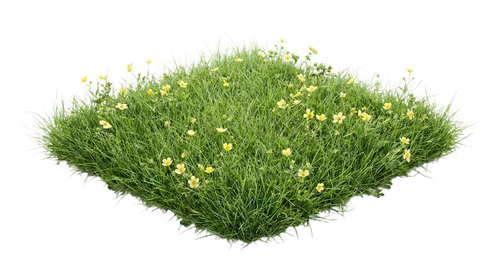 2578ba4c6a14.png