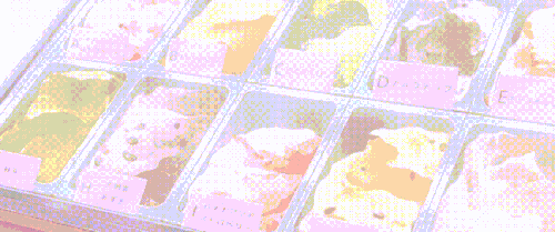 1000036352.gif
