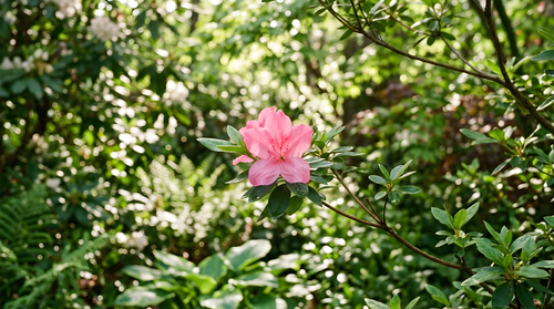 1468a9f6f793.png
