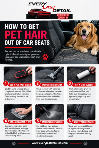 How to Get Pet Hair Out of Car Seats.png