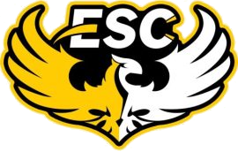 elsahwa logo.png