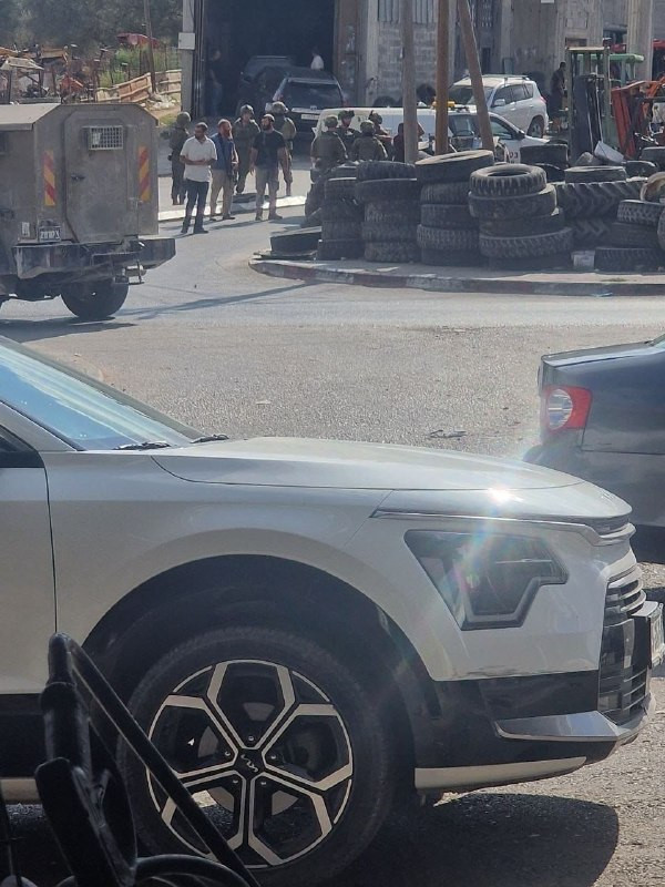 صورة الخبر