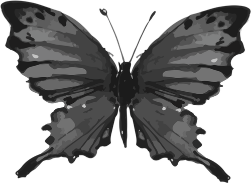 IMG 6527.png