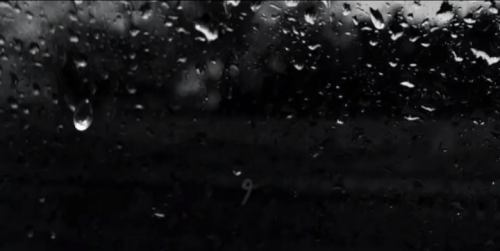 IMG 6534.gif