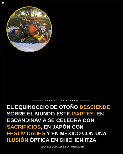 e89ef63e3005.png