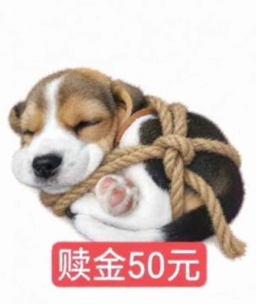 1040g3k8325c9i51m50a05o9r5pk0j9plcqfmmqg!nd dft wlteh jpg 3.jpg