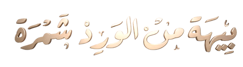 1000013848.png