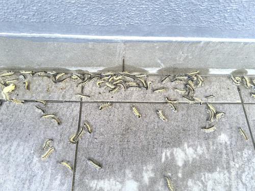 1000003936.jpg