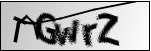 captcha only.png