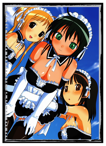 IMG 10000000118393.png