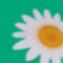 2528a9189b27.png