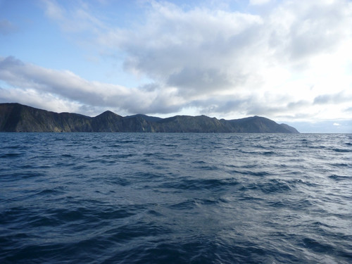 b ss181 03 our ocean 44020621533398596163811.jpg