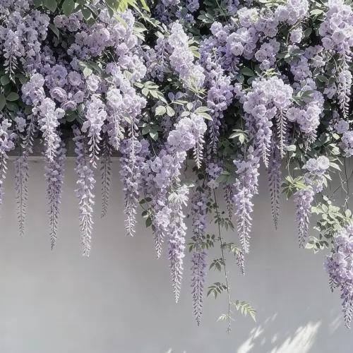 1000033643.webp