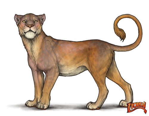 lioden wardrobe (2).png