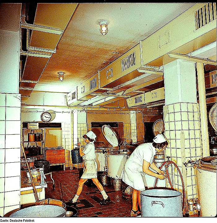 Vivid mid-article photo of chefs using commercial restaurant cooking equipment