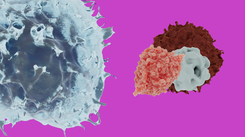 f5227525e5de.png