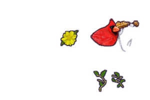 IMG 0095.png
