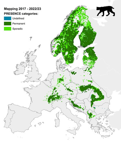 Eurasian lynx LCIE Status Assessment 2017 2022 23.jpg