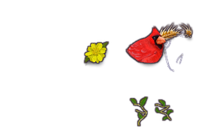 IMG 0096.png