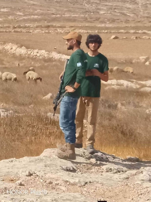 صورة الخبر