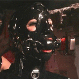 image.gif