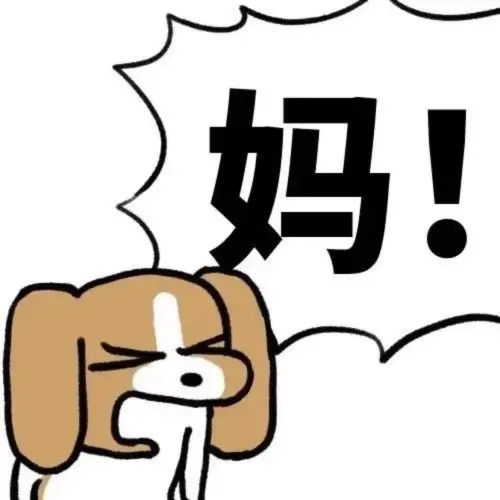 10085.webp
