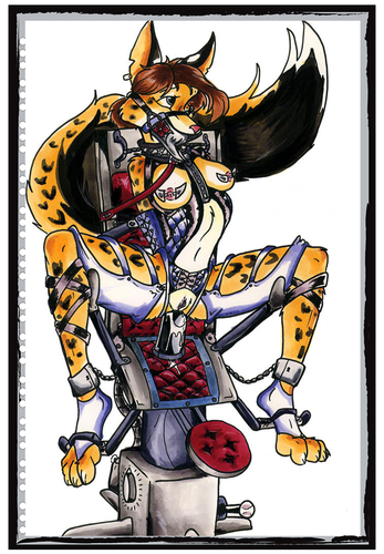 IMG 1000000008137.png