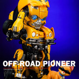 a01