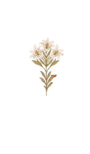 1000033502.png
