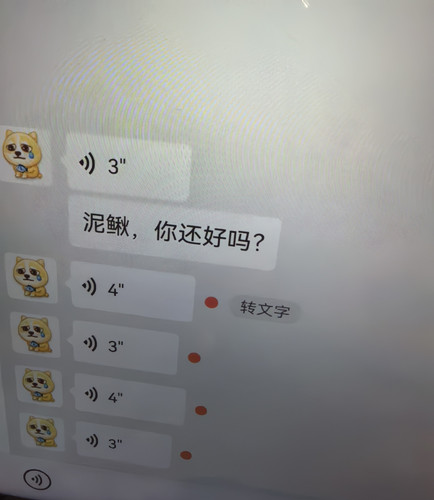 IMG 20260921 231201.jpg